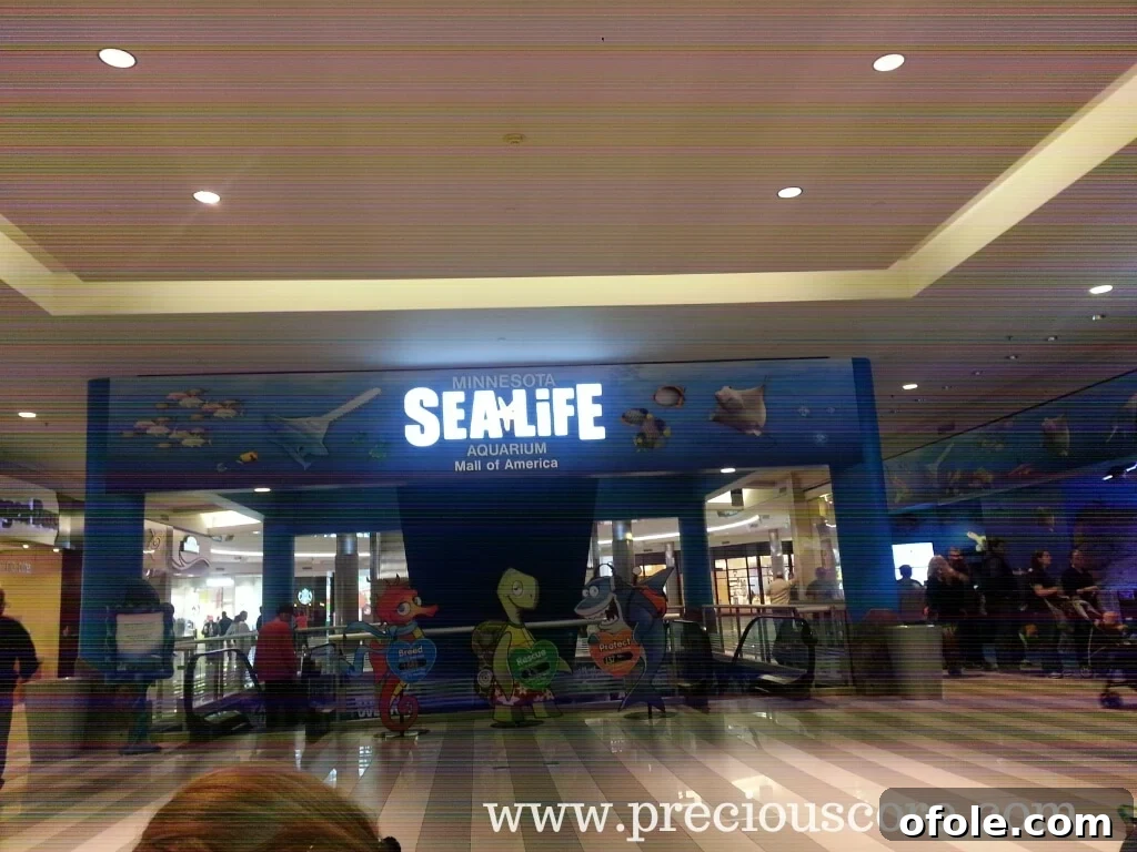 Interactive touchpool exhibit with vibrant, flower-like sea creatures