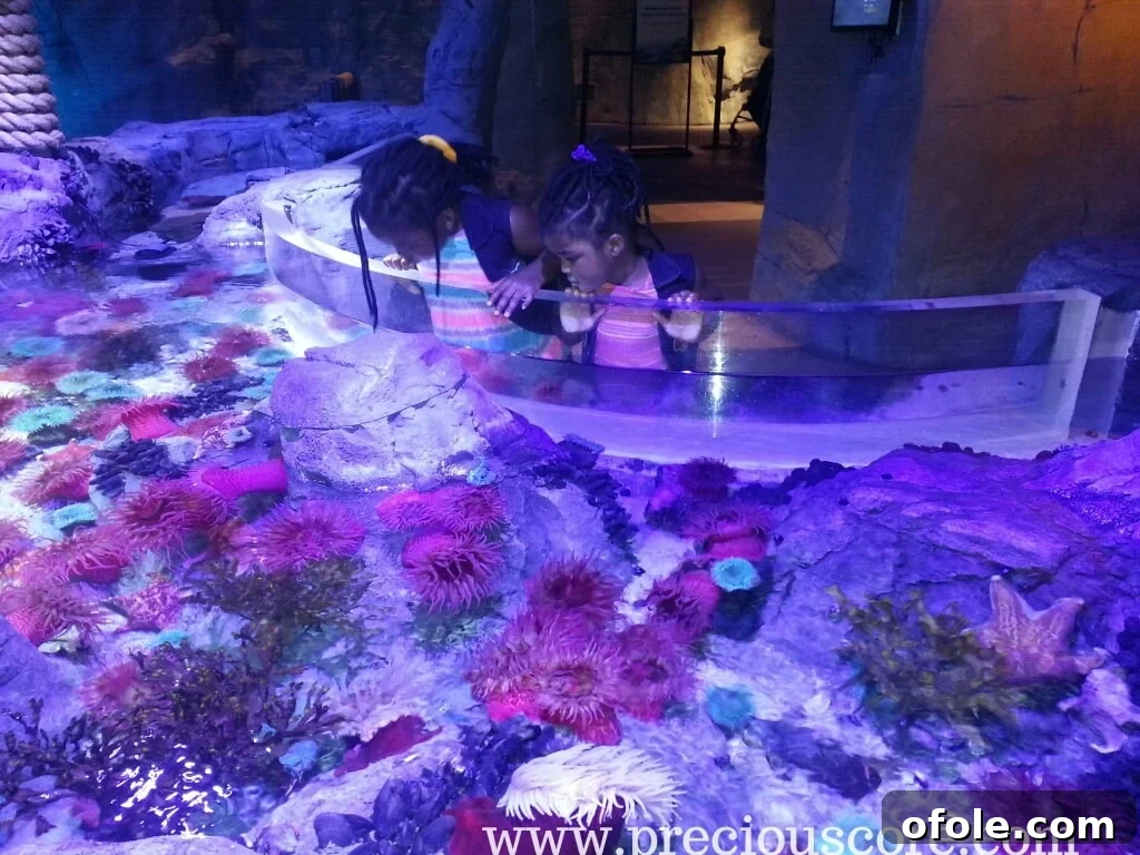 A baby girl looking with wide-eyed wonder at an aquarium exhibit