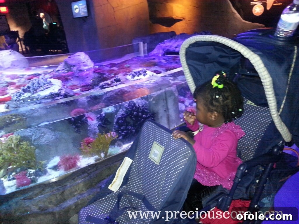 Children excitedly observing delicate sea horses swimming in their vibrant habitat