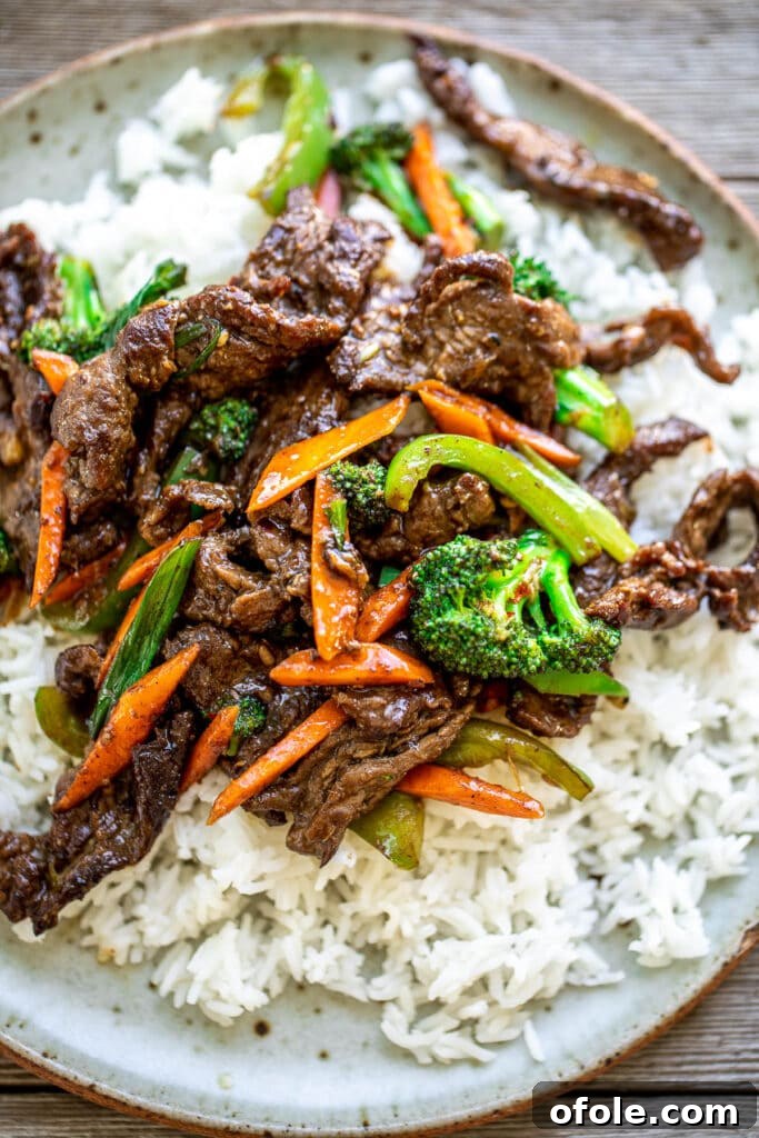 Vibrant Beef and Vegetable Stir-Fry 2 Plate of Beef Stir Fry With Rice, garnished with fresh green onions