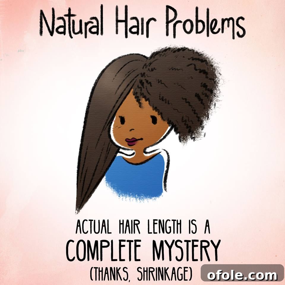 Natural hair shrinkage explained meme Meme showing natural hair shrinkage versus actual length