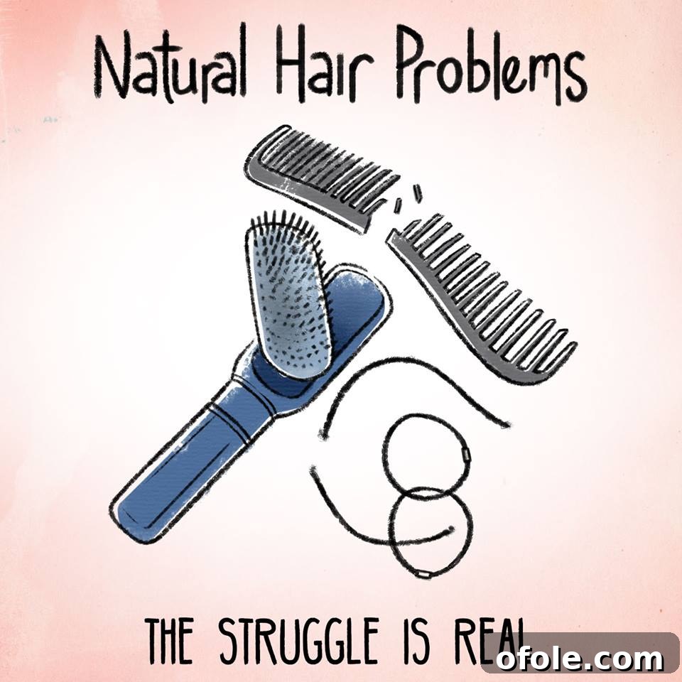 Natural hair breaking combs meme Funny natural hair meme about breaking combs