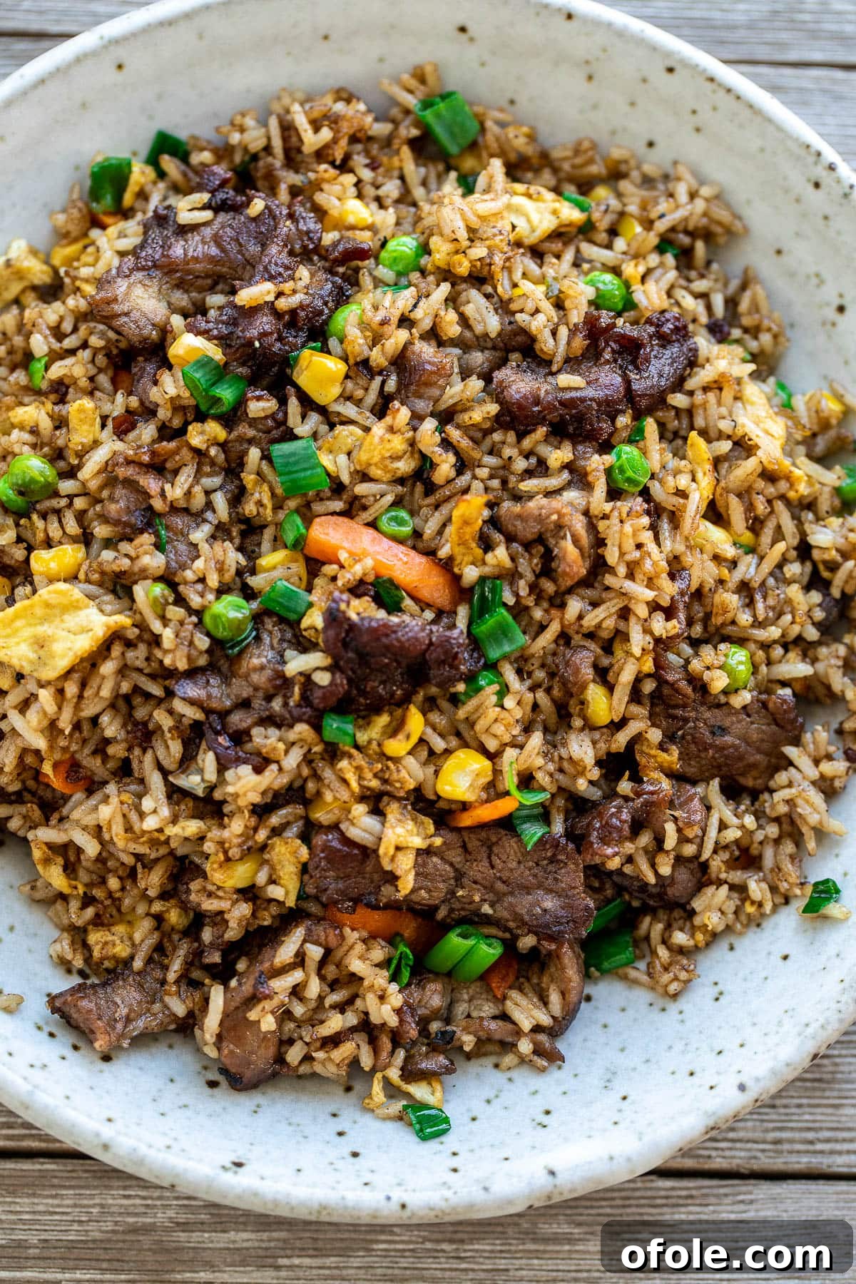 Gourmet Steak Fried Rice 2 A bowl of freshly made steak fried rice, garnished with green onions and ready to be served.