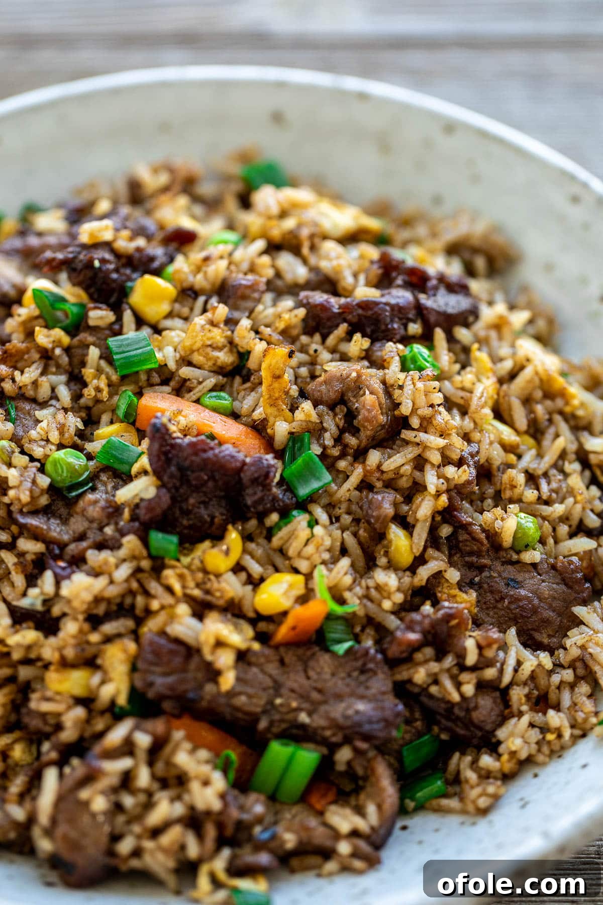 Gourmet Steak Fried Rice 3 A vibrant bowl of steak fried rice, garnished with fresh green onions and ready to enjoy.