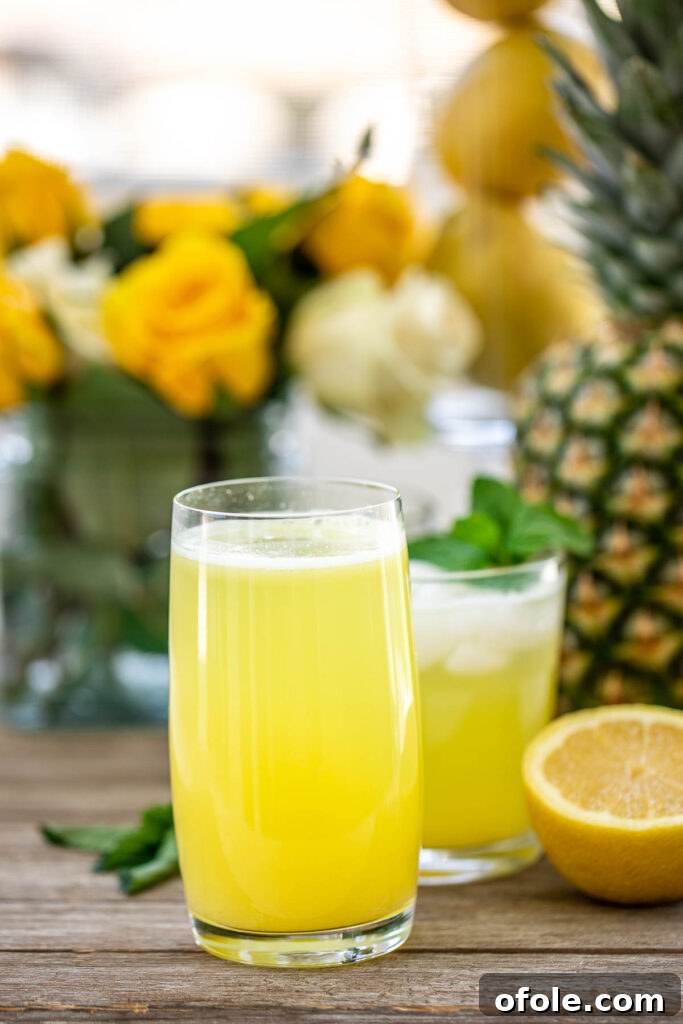 Tropical Zest Quench 2 Tall Glass of Pineapple Lemonade with fresh pineapple and lemon slices
