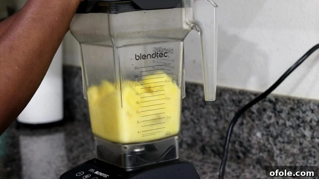 Tropical Zest Quench 5 Pureeing pineapples in blender for lemonade