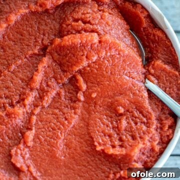 Big bowl of rich red homemade tomato paste, ready for use or storage.