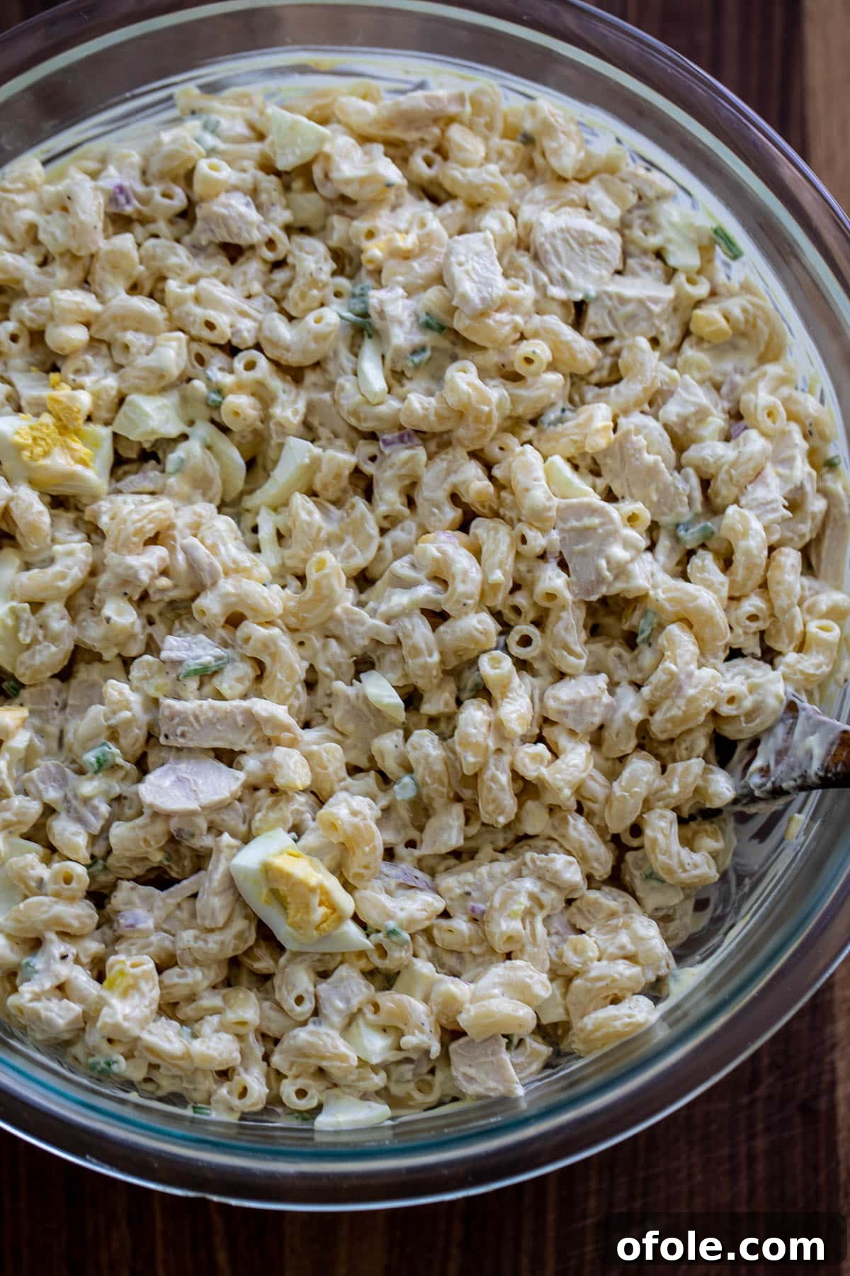 Creamy Chicken Pasta Delight 8 Mixed creamy macaroni salad in a bowl after being tossed.