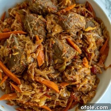 Rustic Beef and Cabbage Stew 12 Hearty bowl of Cabbage and Beef Stew, garnished and ready to eat