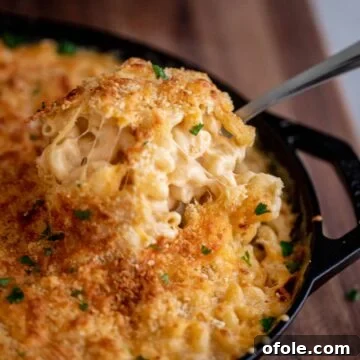 Spoon lifting up creamy mac and cheese from a bowl