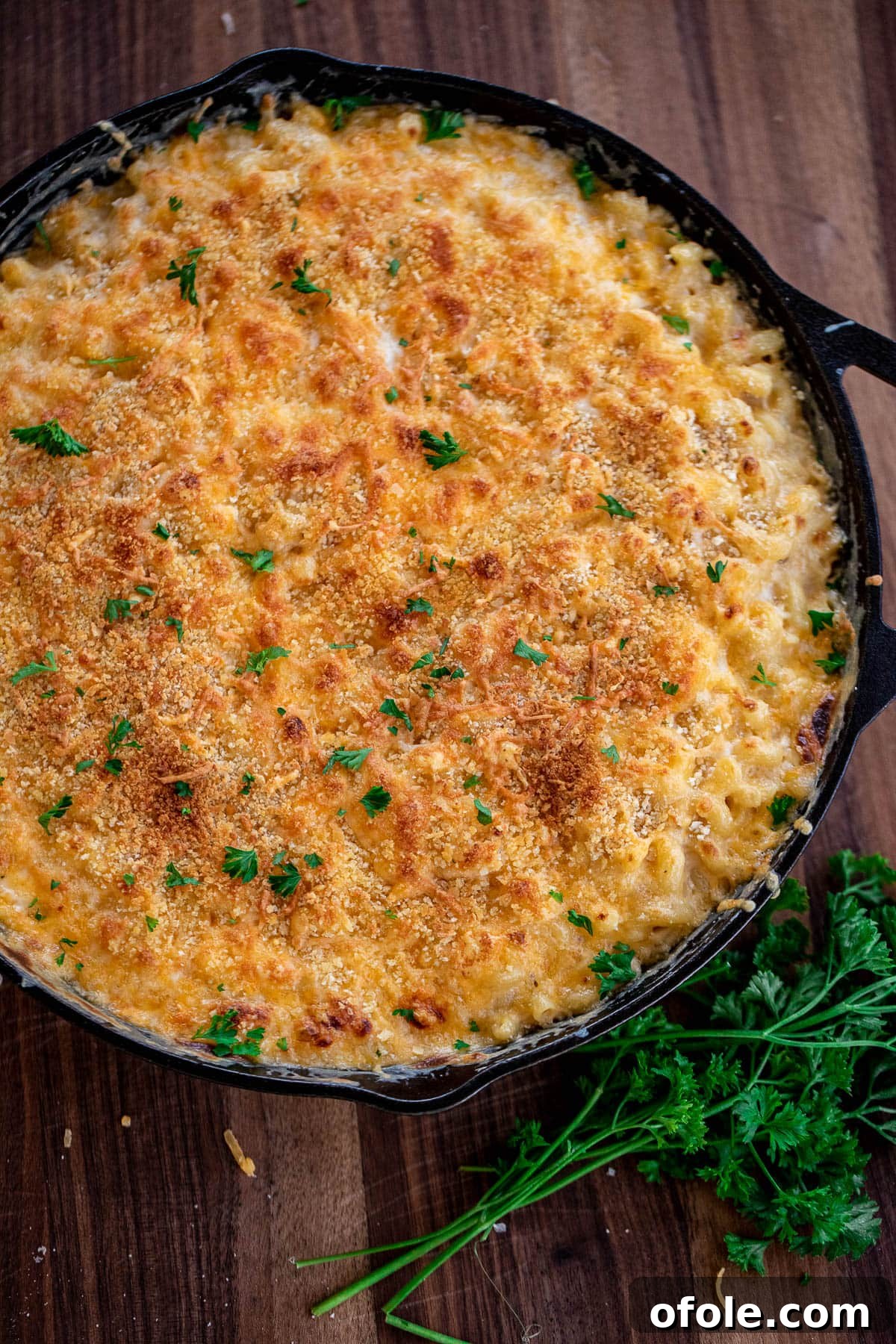 Ultimate Three-Cheese Mac and Cheese 9 3 Cheese Mac and Cheese garnished with fresh parsley, ready to be served