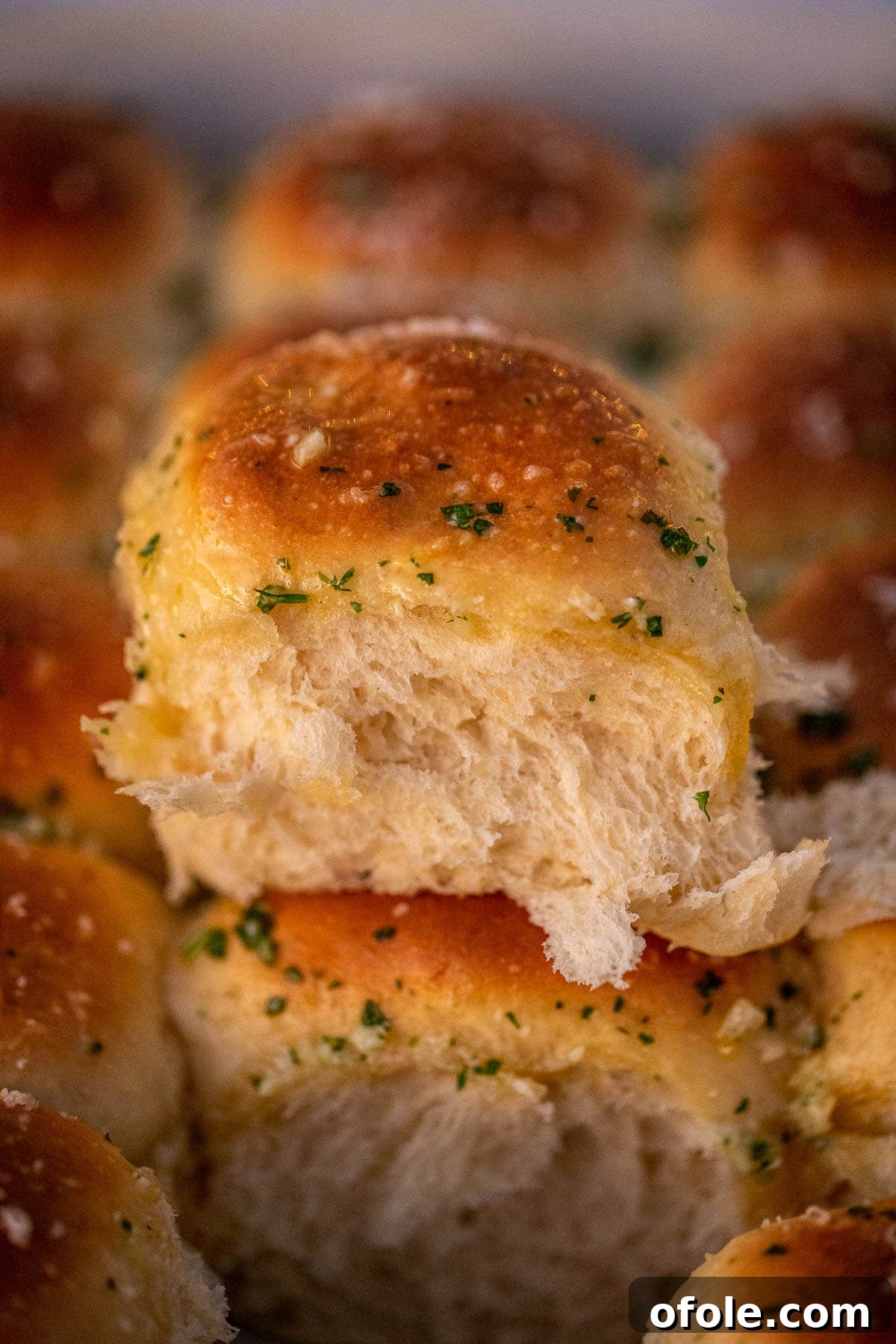 Buttery Garlic Dinner Rolls 15 A single dinner roll pulled apart, showcasing its incredibly soft, fluffy, and tender interior texture.