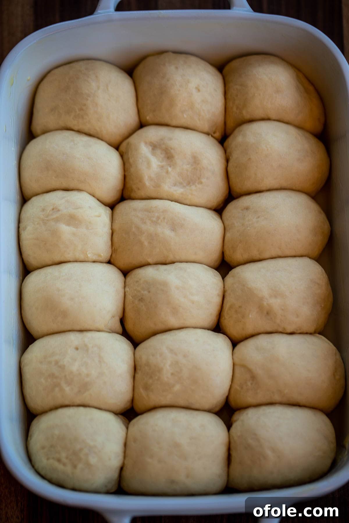 Buttery Garlic Dinner Rolls 9 The dinner rolls, visibly risen and expanded, filling the baking dish after their proofing period.