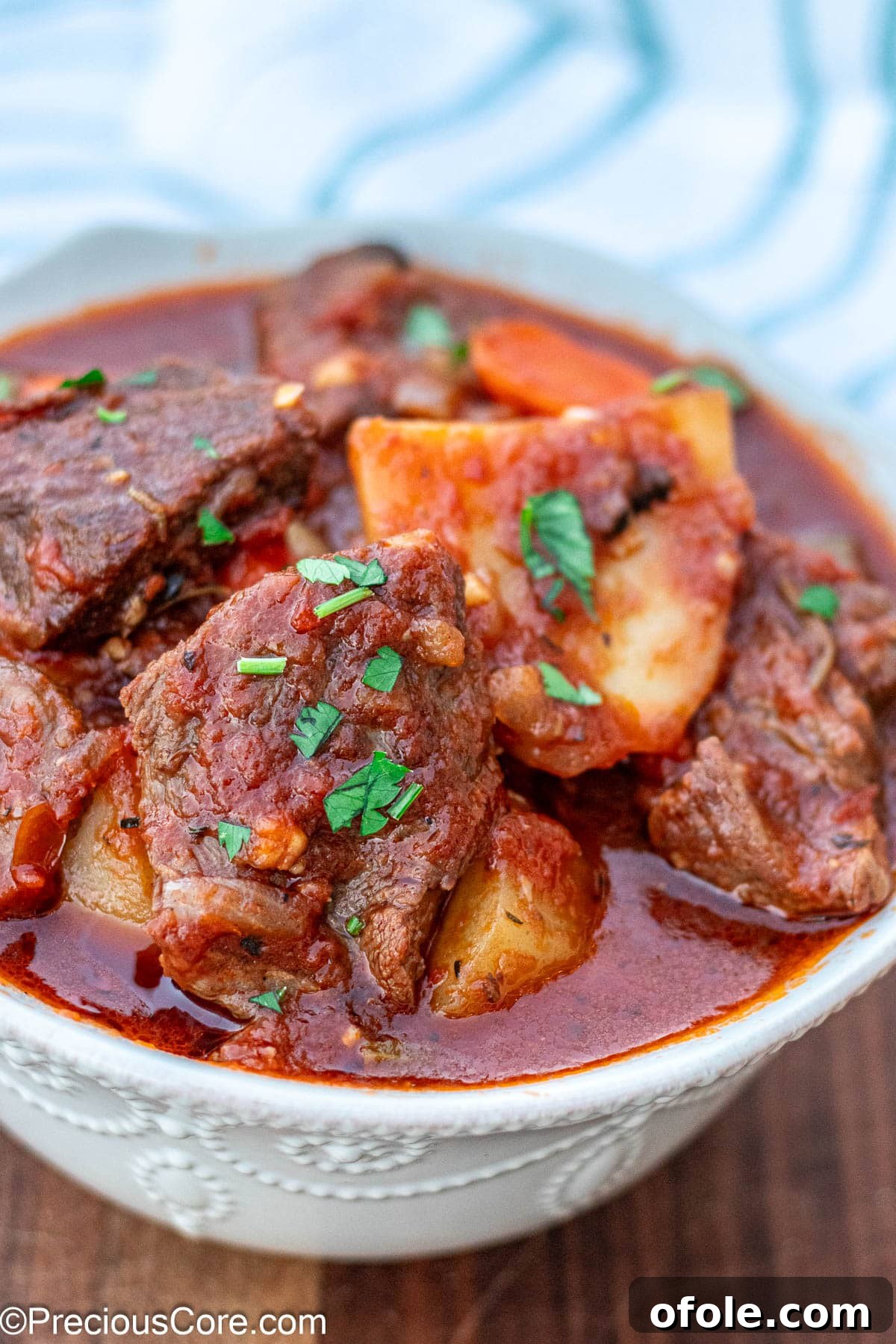 Wine-Free Beef Stew 4 Hearty Beef Stew Without Wine served in an elegant white bowl.
