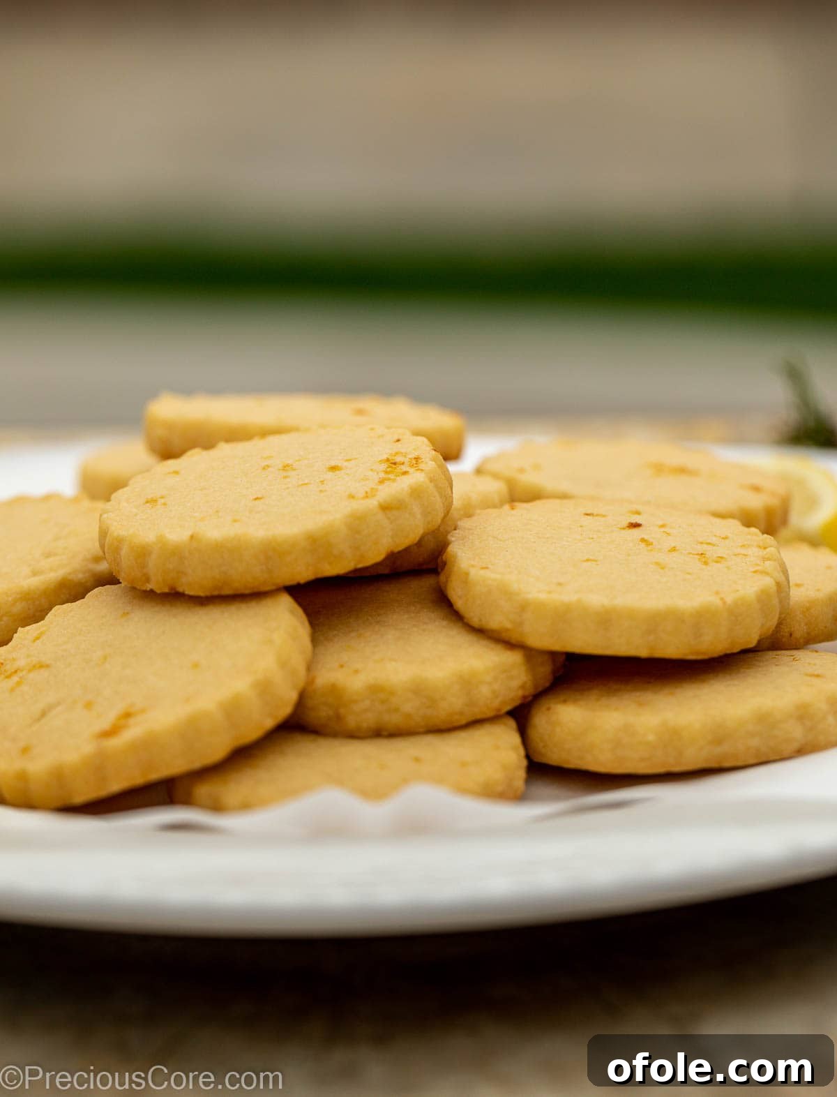 A charming plate showcasing perfectly baked Lemon Shortbread Cookies, ready for serving.
