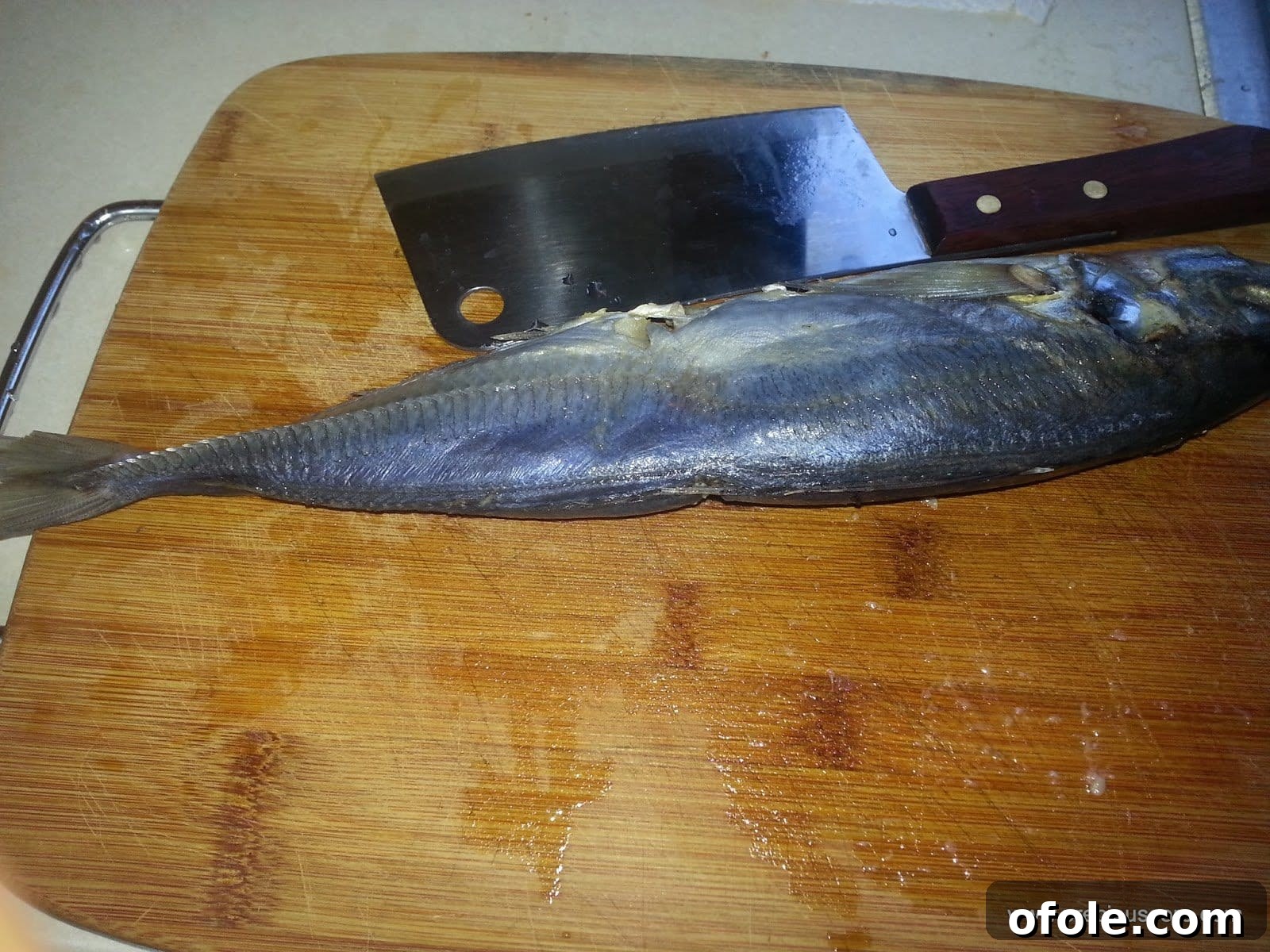 From Fresh to Fantastic: Drying Fish in Your Kitchen 3 Whole fish ready for cleaning