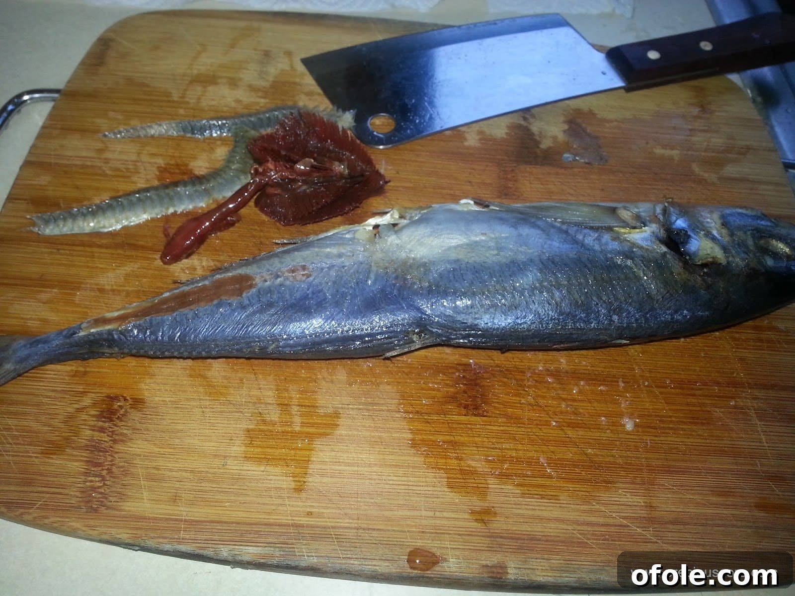 From Fresh to Fantastic: Drying Fish in Your Kitchen 5 Removing gills from the fish