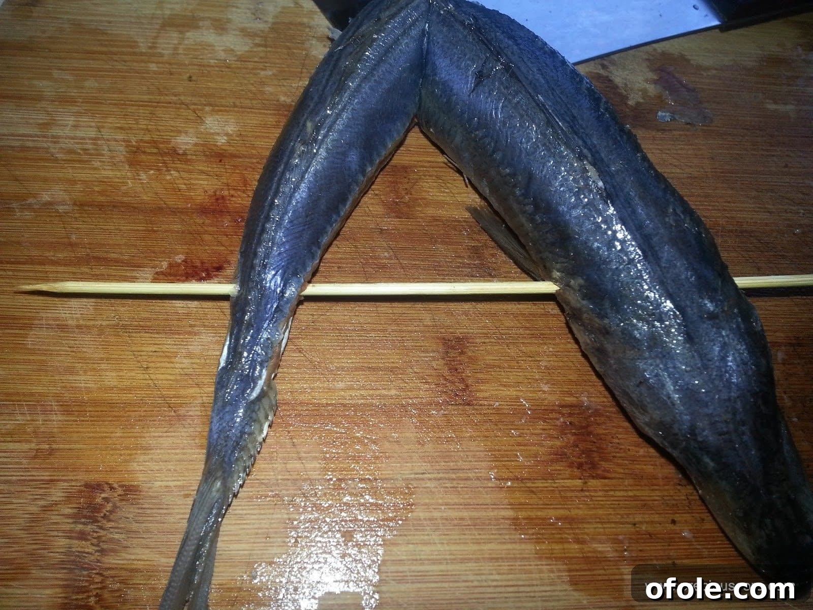From Fresh to Fantastic: Drying Fish in Your Kitchen 6 Seasoning and skewering the fish