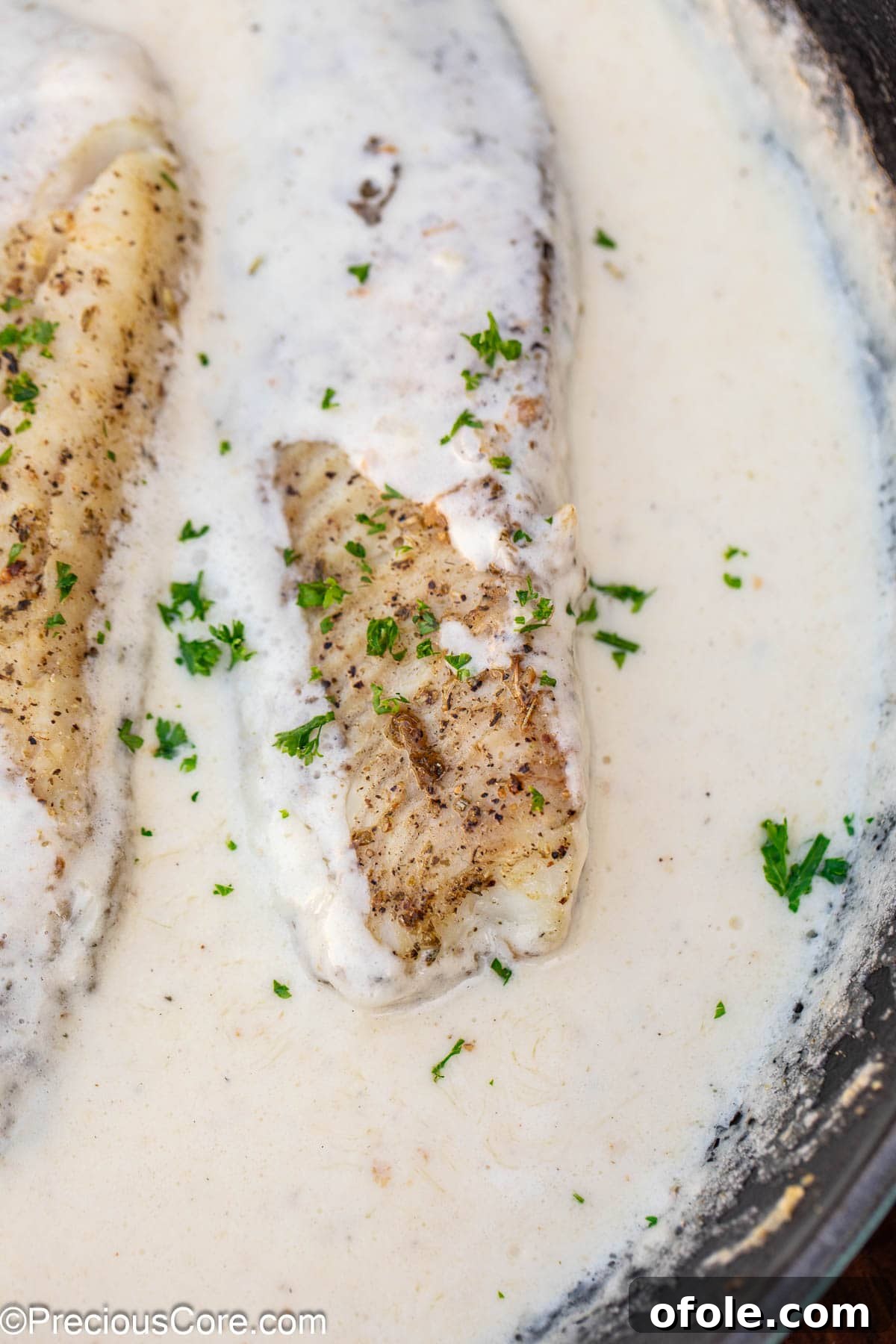 Velvety White Fish 11 Cooked fish in white sauce, beautifully garnished with vibrant minced parsley, ready to be served.