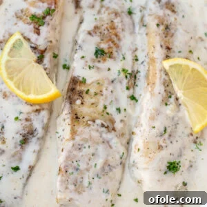 Fish in white sauce with lemon slices, a mouthwatering view of the finished dish.