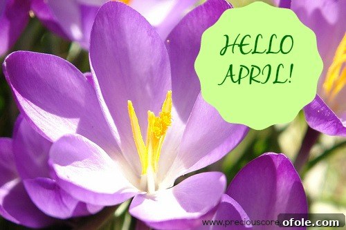 April Awakens 2 img 171 1