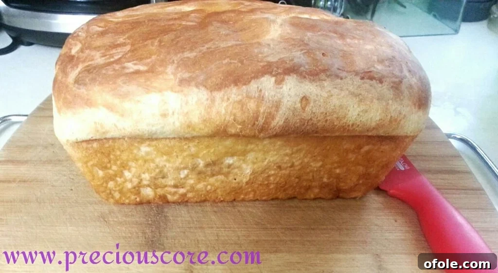 Authentic Kumba Bread - The Taste of Cameroon Freshly baked Kumba Bread, a traditional Cameroonian sandwich loaf