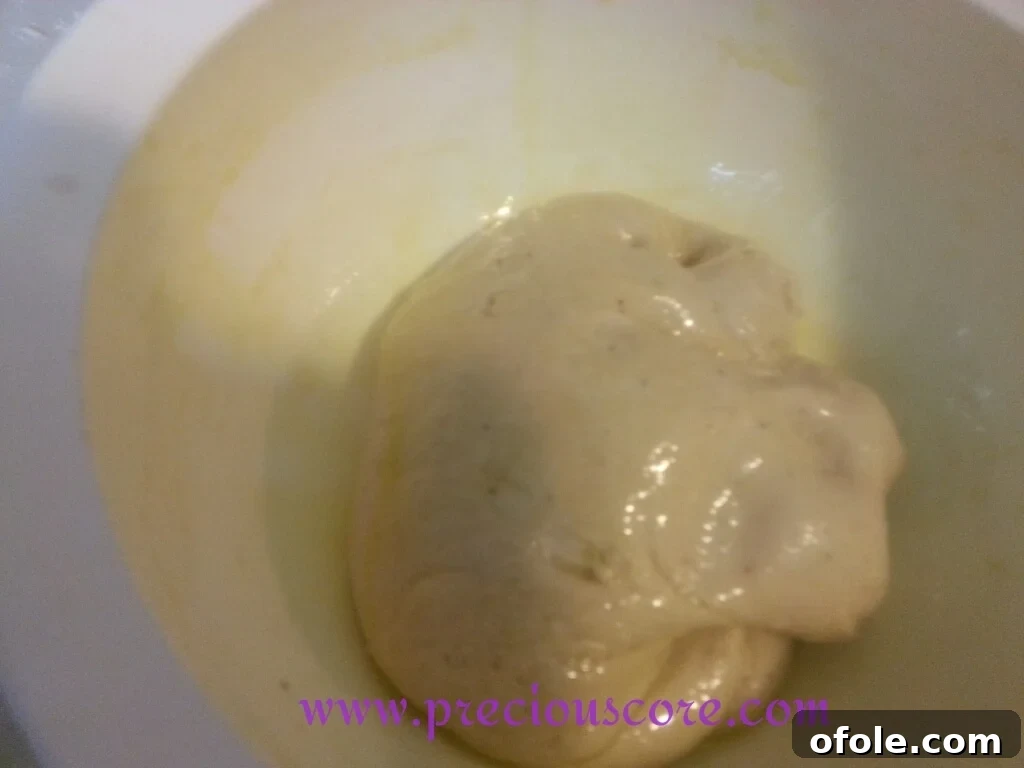 Sealing Dough for Warm Rise Mixing bowl with dough covered with plastic wrap