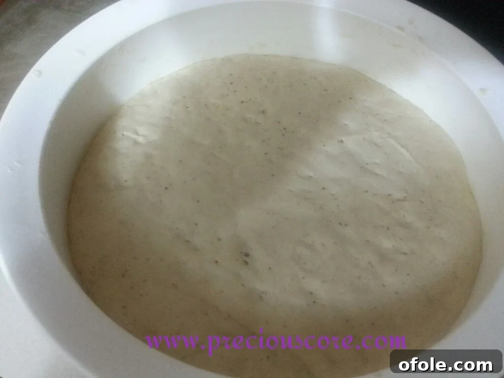 Shaping Kumba Bread for Second Rise Kumba Bread dough punched down and shaped into a loaf in a baking pan