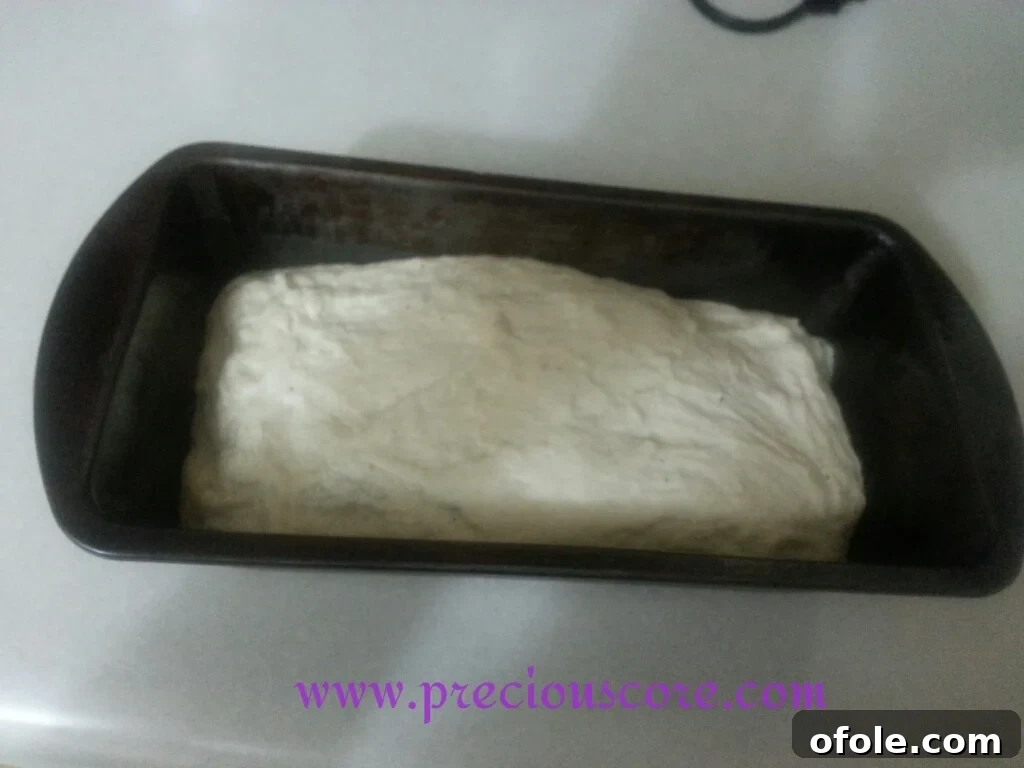 Kumba Bread Dough Prepped for Second Proof Kumba Bread dough in a loaf pan, ready for the second rise