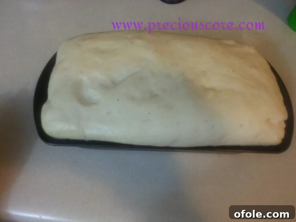Second Rise Complete: Ready to Bake Kumba Bread Kumba Bread dough after second rise, perfectly puffed in the loaf pan