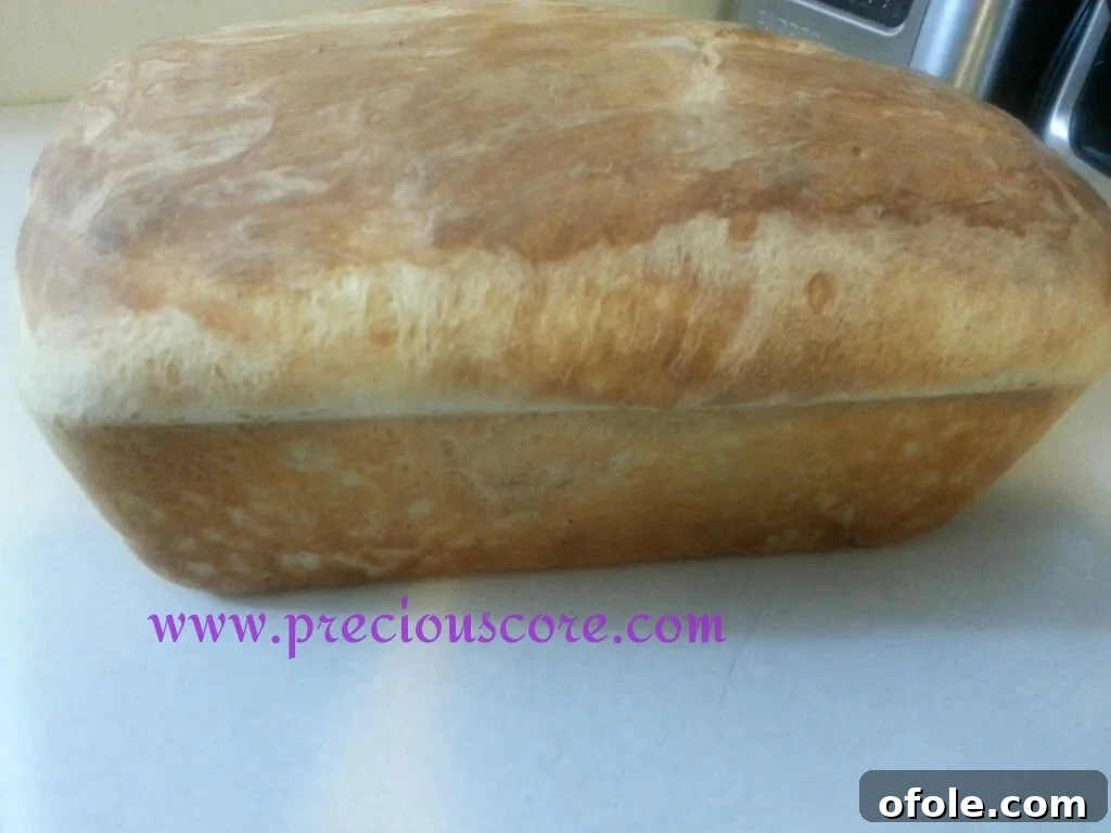The art of making Kumba Bread dough from scratch Hands kneading Kumba Bread dough on a floured surface