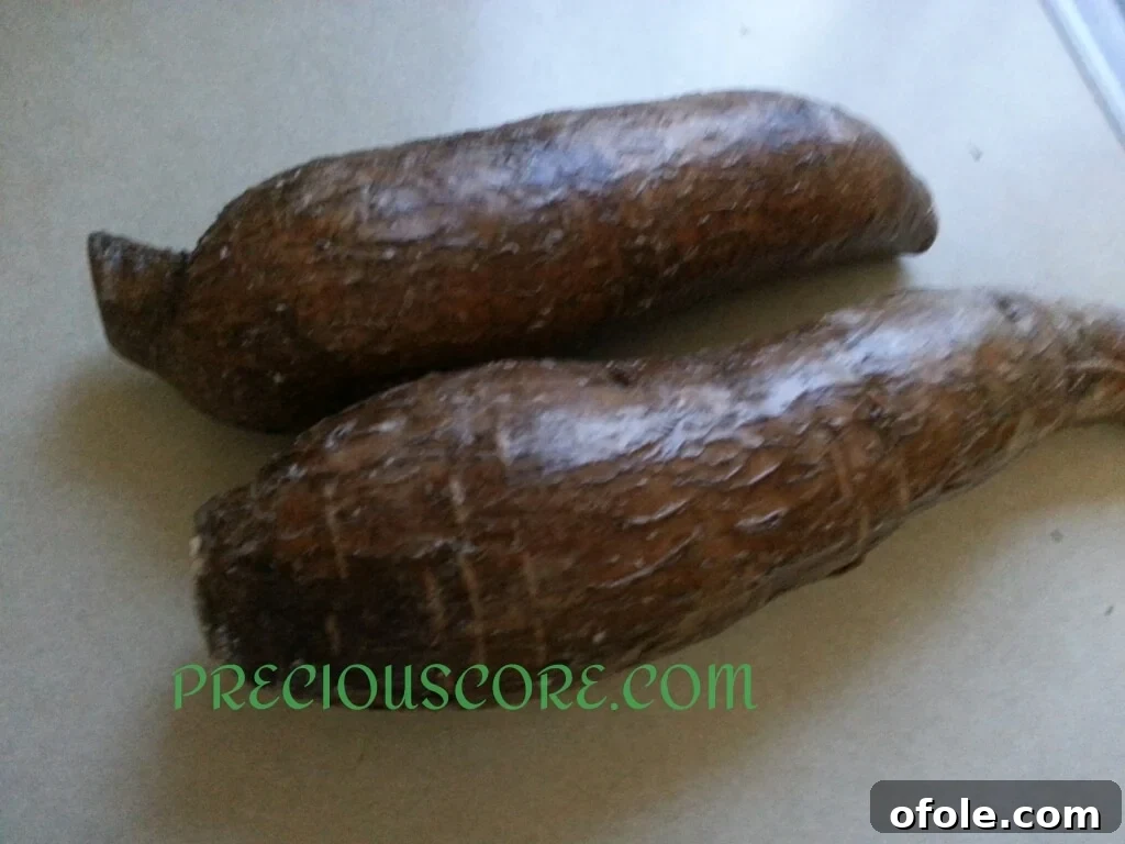 Raw cassava root, a traditional ingredient for Accra Banana