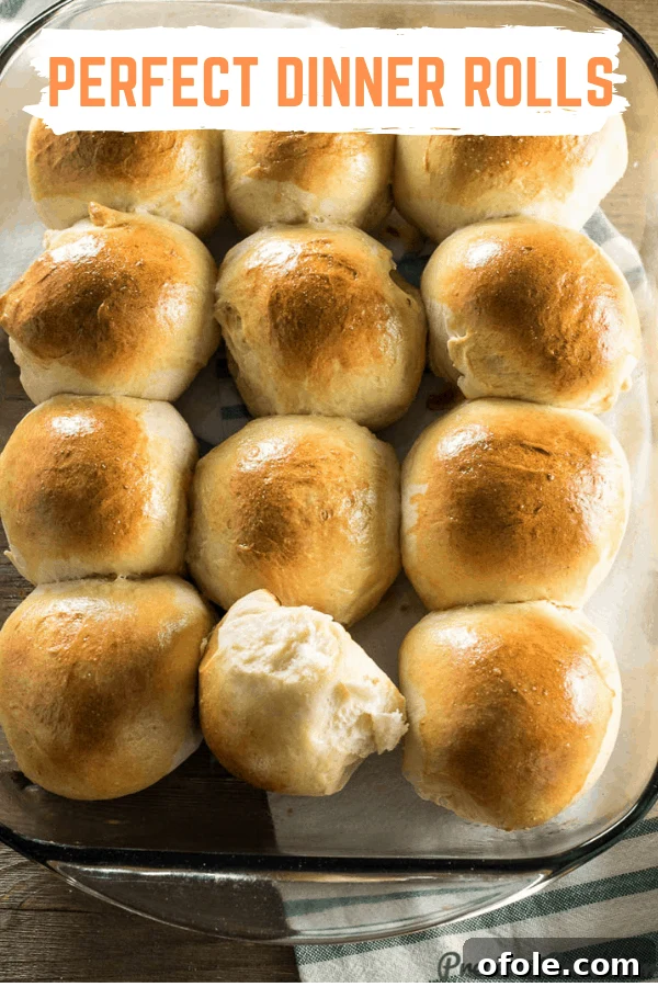 A close-up shot of perfectly golden-brown and fluffy sweet dinner rolls, showcasing their tender texture.