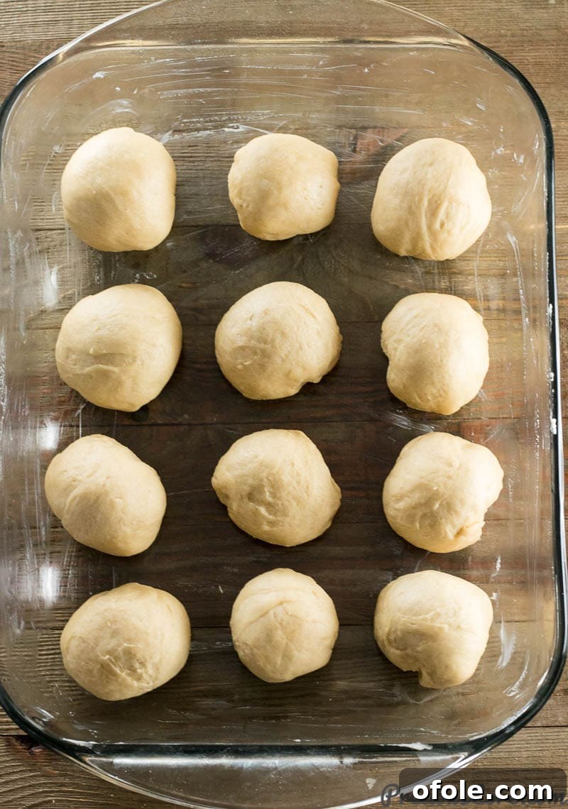 Twelve neatly shaped balls of sweet dinner roll dough arranged in a greased baking pan, ready for the second rise.