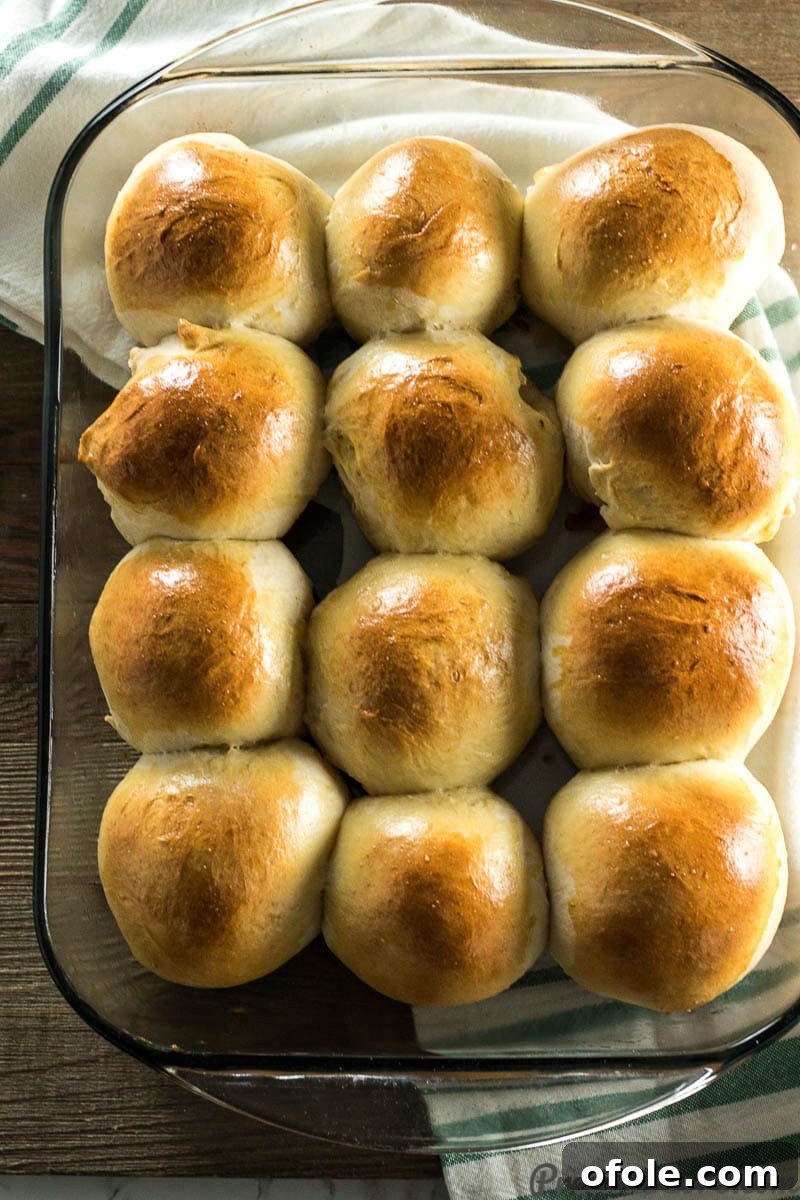A freshly baked batch of homemade sweet dinner rolls, golden and fluffy, resting in their baking dish.