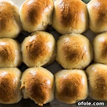 Sweet Dinner Rolls in baking pan