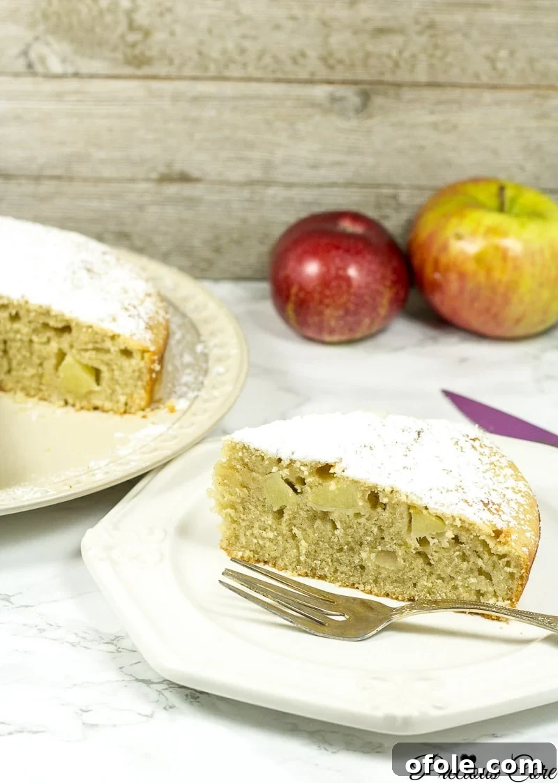 Timeless Fresh Apple Cake 2 A beautifully presented slice of old fashioned fresh apple cake, showing the moist crumb and apple chunks.