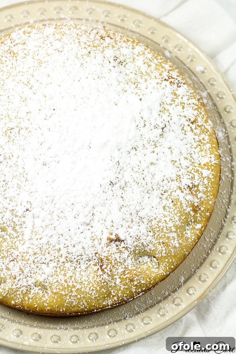 Timeless Fresh Apple Cake 14 A whole old fashioned fresh apple cake beautifully dusted with powdered sugar.