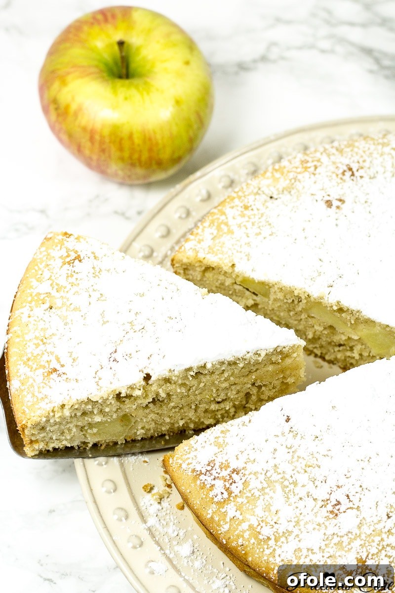 Timeless Fresh Apple Cake 15 A perfect triangle slice of apple cake cut from the main cake, ready to be served.