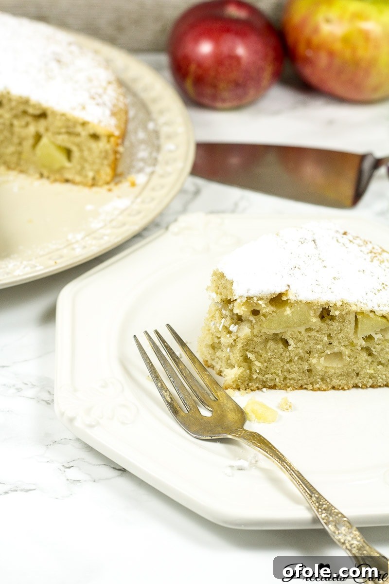 Timeless Fresh Apple Cake 16 A delicious slice of old fashioned apple cake served on a plate with a fork.