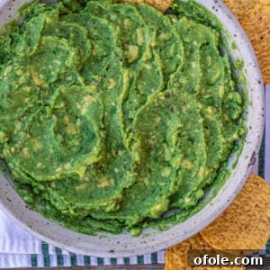 Freshly made guacamole in a vibrant green bowl, with a single golden tortilla chip perfectly poised for dipping.