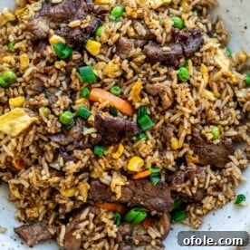 bowl of steak fried rice