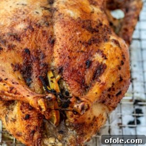 The Best 17 Sides to Serve with Roast Duck 20 Square image of roast duck.