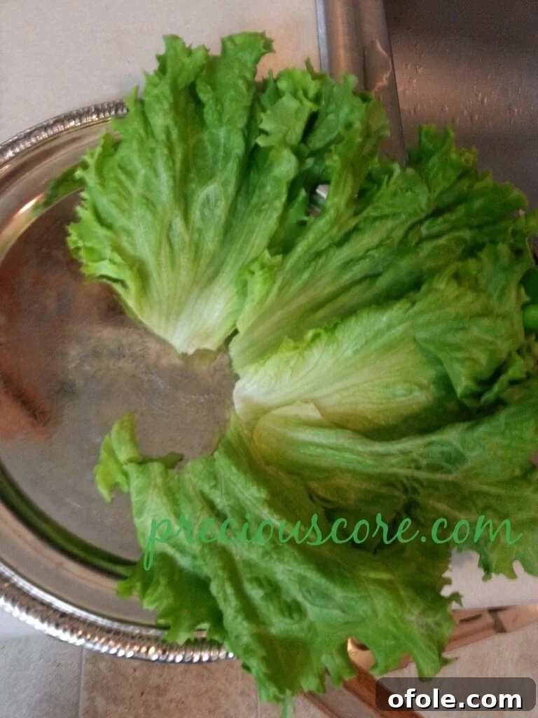 Vibrant Cameroon Salad with Authentic Dressing 10 Fresh green leaf lettuce laid out on a tray.