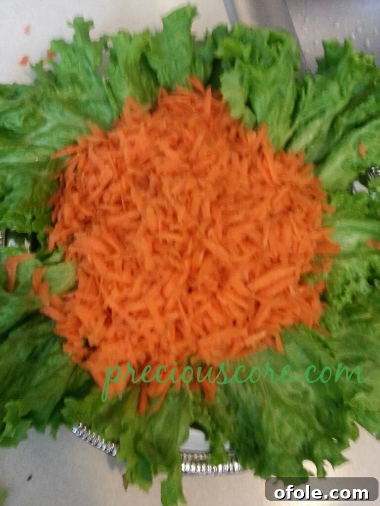 Vibrant Cameroon Salad with Authentic Dressing 12 Close-up of lettuce and carrots combined.