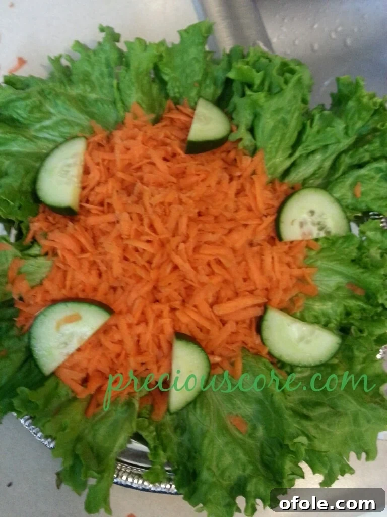 Vibrant Cameroon Salad with Authentic Dressing 13 Cucumber slices arranged on the salad.