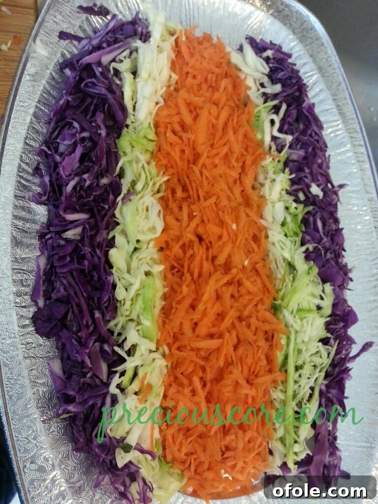 Vibrant Cameroon Salad with Authentic Dressing 6 Freshly sliced tomatoes.