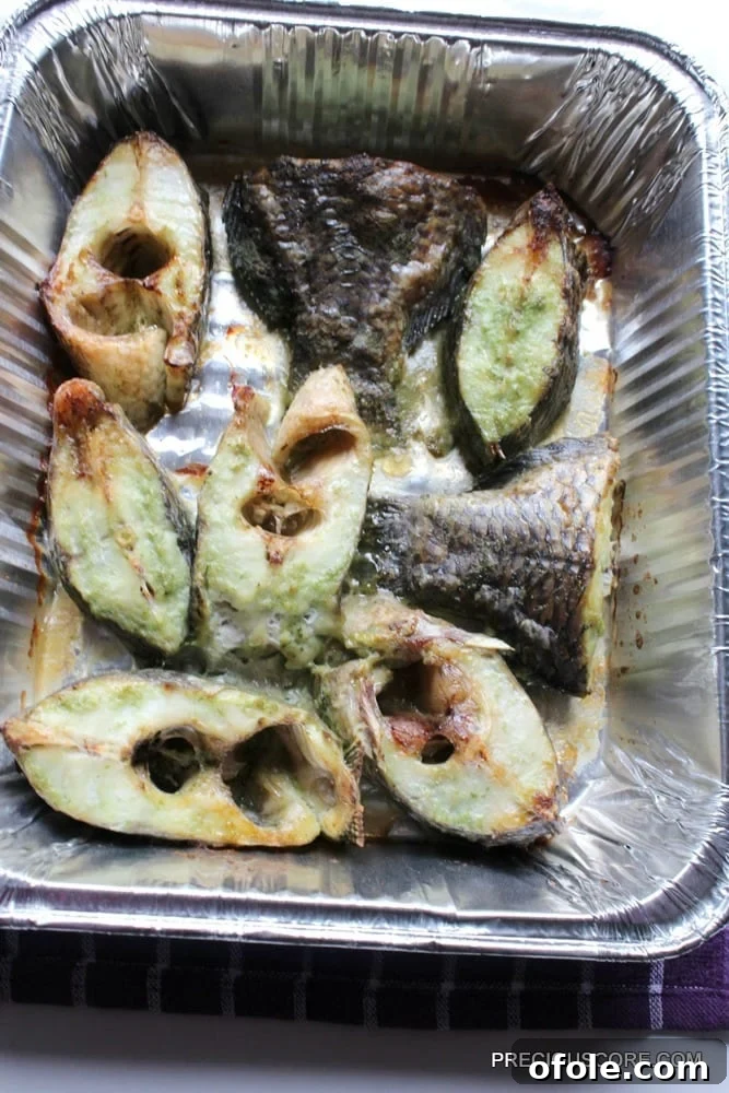 grilled-tilapia - Close-up of marinated tilapia fillets grilling in the oven.