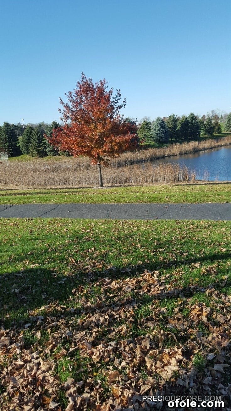 7 Things You Need to Know 3 fall-in-minnesota