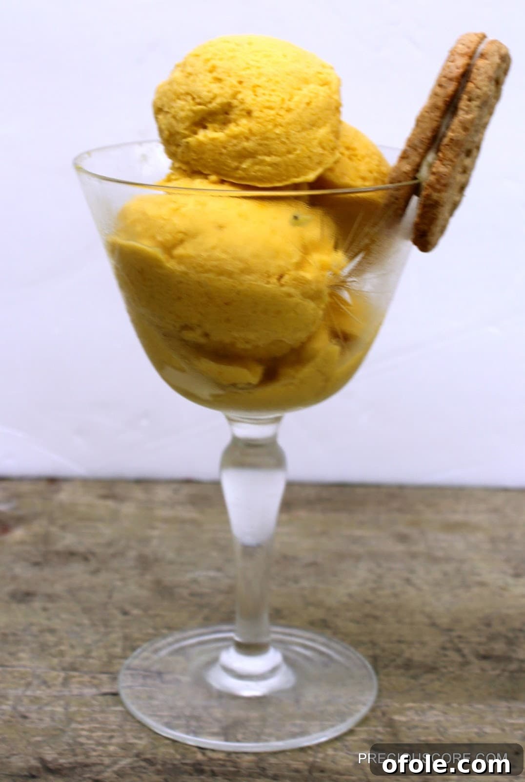 Ingredients for Mango Coconut Sorbet laid out